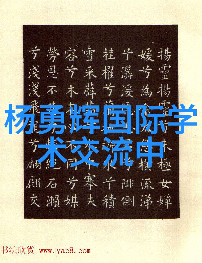 天体物理新视野与新疆110米射电望远镜研讨会召开
