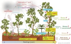 红锥人工林植物和土壤随林龄的固碳潜力获揭示